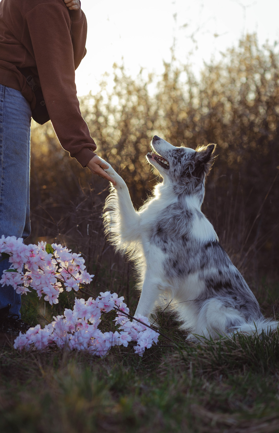 Manon Knasko Photographies